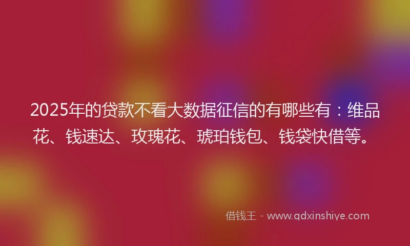 2025年的贷款不看大数据征信的有哪些有：维品花、钱速达、玫瑰花、琥珀钱包、钱袋快借等。