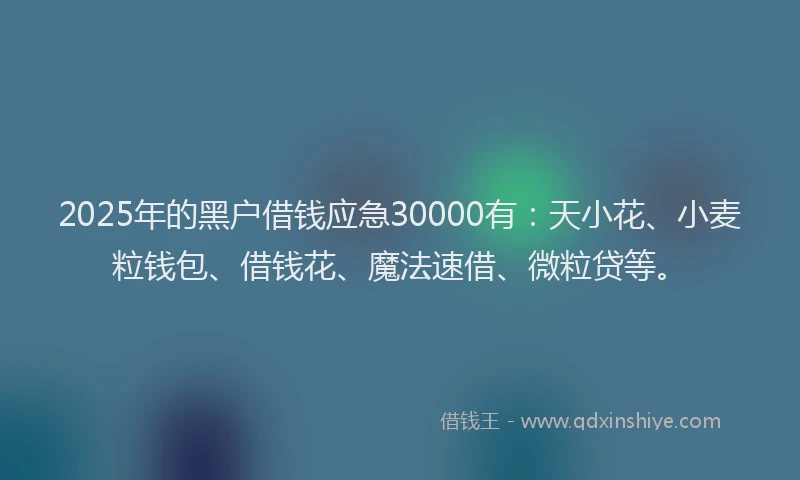 2025年的黑户借钱应急30000有：天小花、小麦粒钱包、借钱花、魔法速借、微粒贷等。