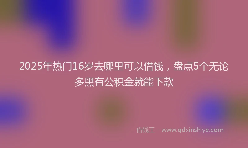 2025年热门16岁去哪里可以借钱，盘点5个无论多黑有公积金就能下款