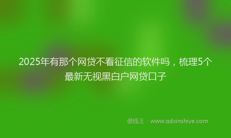 2025年有那个网贷不看征信的软件吗，梳理5个最新无视黑白户网贷口子
