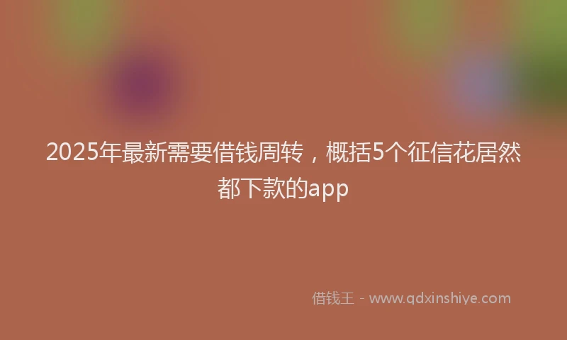 2025年最新需要借钱周转，概括5个征信花居然都下款的app