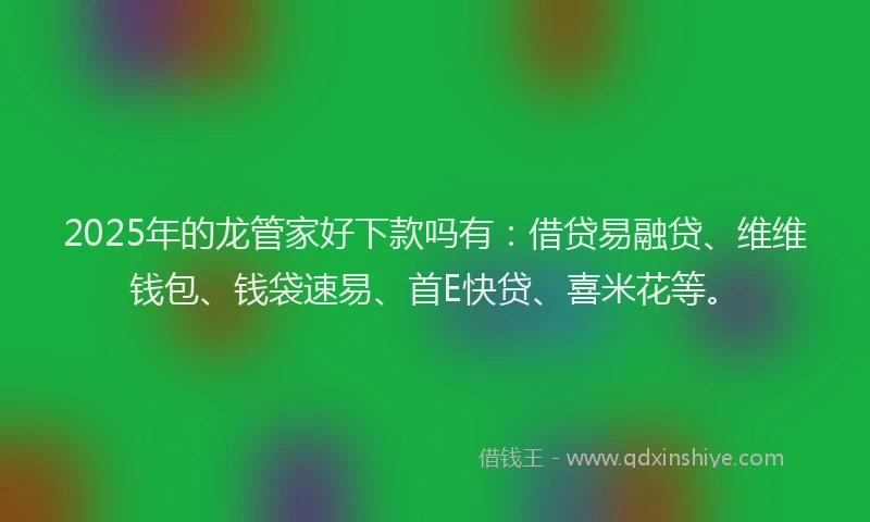 2025年的龙管家好下款吗有：借贷易融贷、维维钱包、钱袋速易、首E快贷、喜米花等。