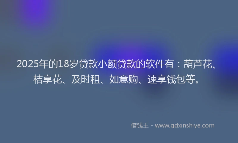 2025年的18岁贷款小额贷款的软件有：葫芦花、桔享花、及时租、如意购、速享钱包等。