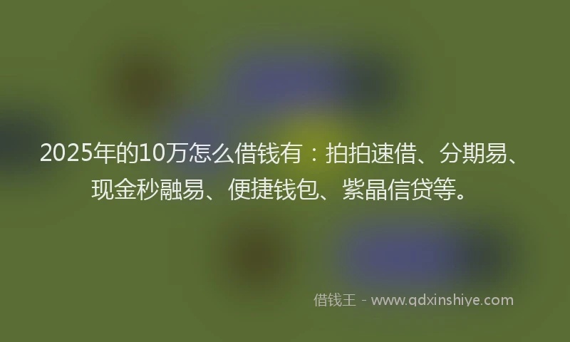 2025年的10万怎么借钱有：拍拍速借、分期易、现金秒融易、便捷钱包、紫晶信贷等。