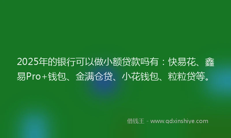 2025年的银行可以做小额贷款吗有：快易花、鑫易Pro+钱包、金满仓贷、小花钱包、粒粒贷等。