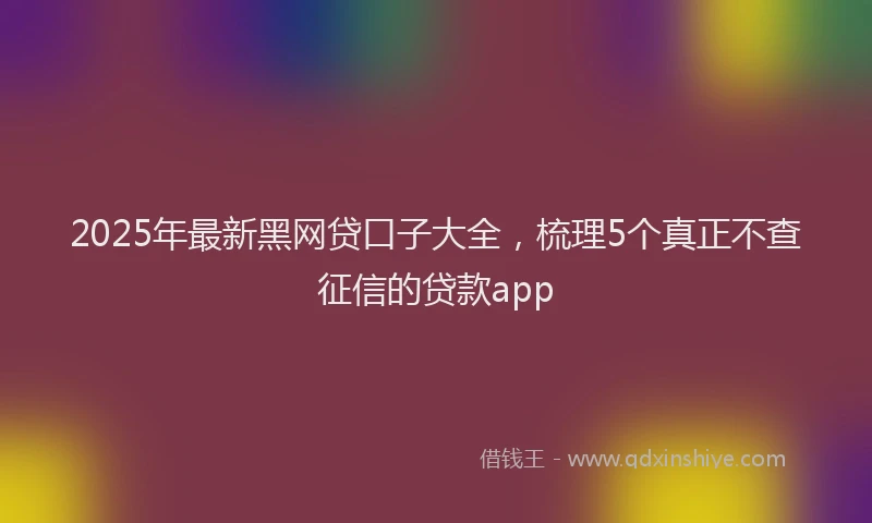 2025年最新黑网贷口子大全，梳理5个真正不查征信的贷款app