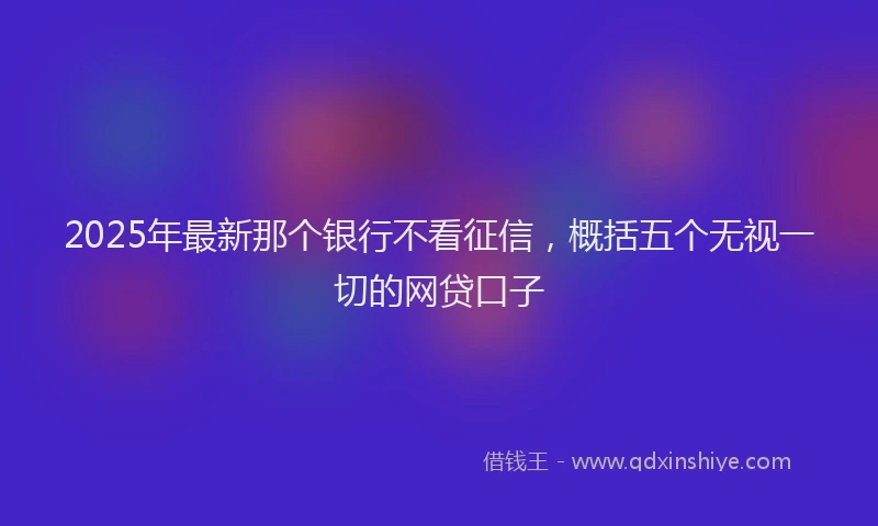 2025年最新那个银行不看征信，概括五个无视一切的网贷口子