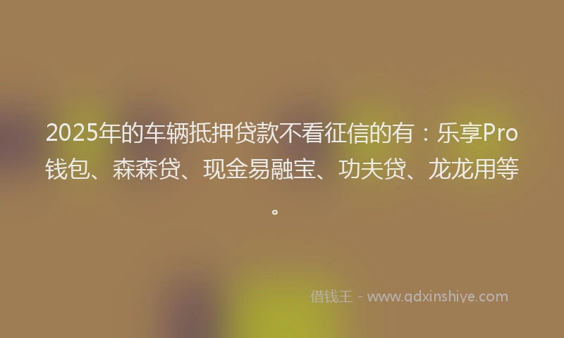 2025年的车辆抵押贷款不看征信的有：乐享Pro钱包、森森贷、现金易融宝、功夫贷、龙龙用等。