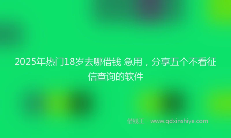 2025年热门18岁去哪借钱 急用，分享五个不看征信查询的软件
