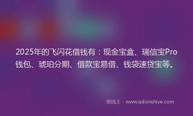2025年的飞闪花借钱有：现金宝盒、瑞信宝Pro钱包、琥珀分期、借款宝易借、钱袋速贷宝等。