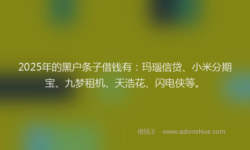 2025年的黑户条子借钱有：玛瑙信贷、小米分期宝、九梦租机、天浩花、闪电侠等。