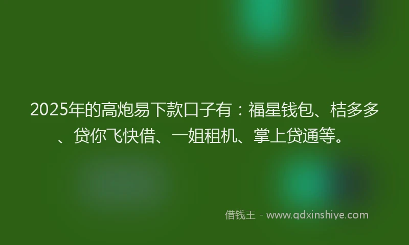 2025年的高炮易下款口子有：福星钱包、桔多多、贷你飞快借、一姐租机、掌上贷通等。