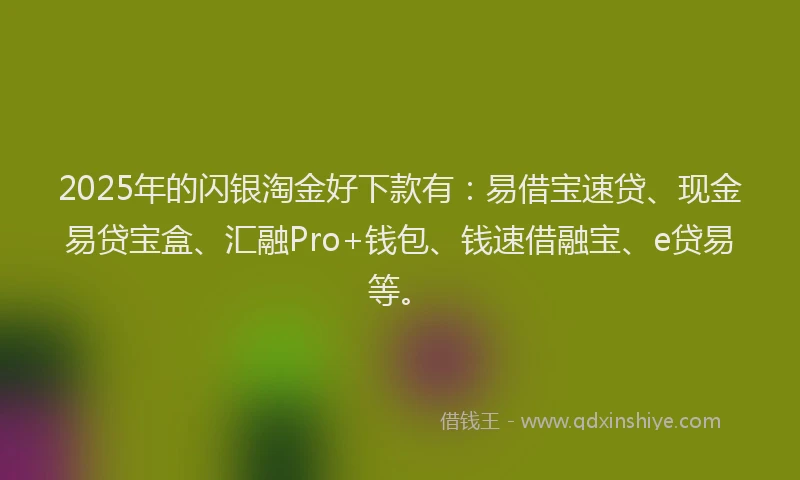 2025年的闪银淘金好下款有：易借宝速贷、现金易贷宝盒、汇融Pro+钱包、钱速借融宝、e贷易等。