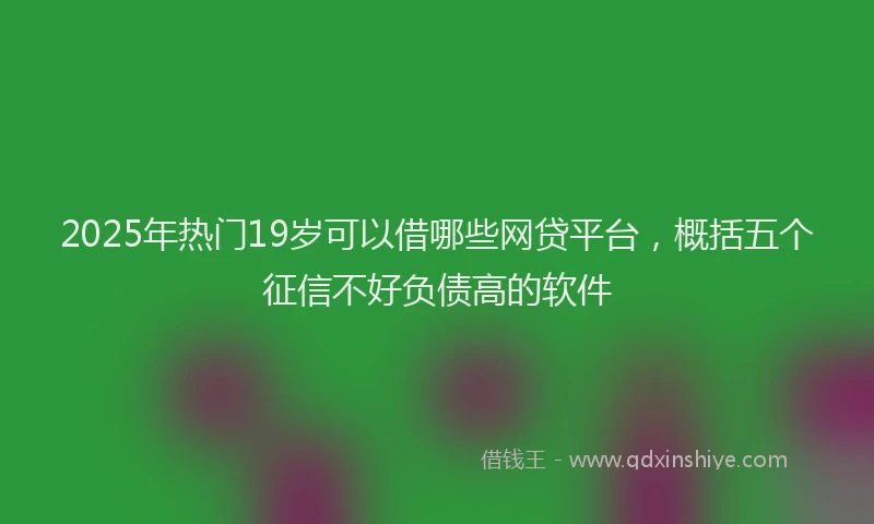 2025年热门19岁可以借哪些网贷平台，概括五个征信不好负债高的软件