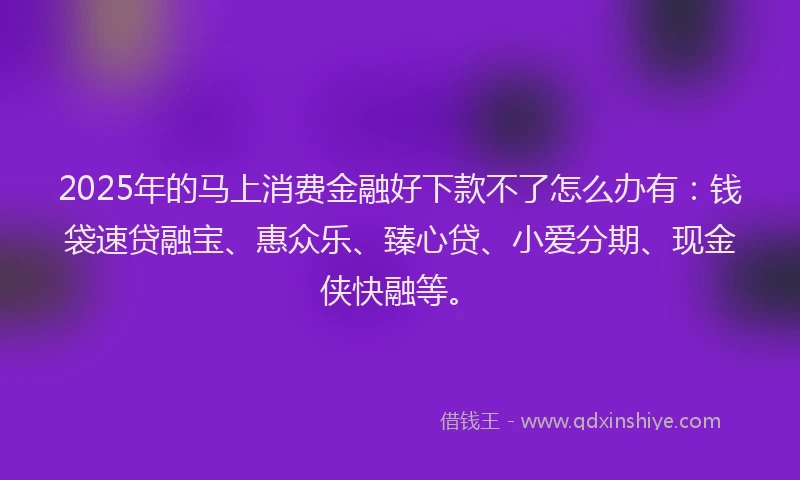 2025年的马上消费金融好下款不了怎么办有：钱袋速贷融宝、惠众乐、臻心贷、小爱分期、现金侠快融等。