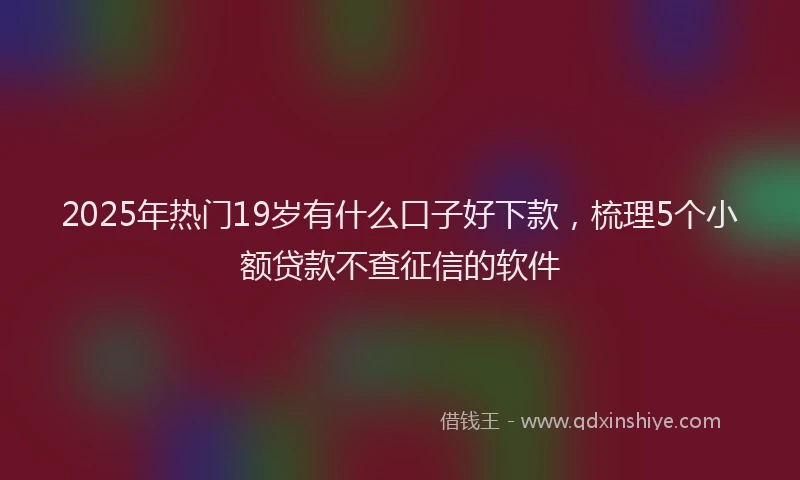 2025年热门19岁有什么口子好下款，梳理5个小额贷款不查征信的软件