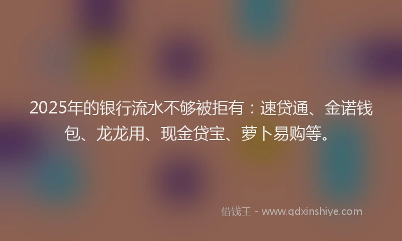 2025年的银行流水不够被拒有:速贷通、金诺钱包、龙龙用、现金贷宝、萝卜易购等。