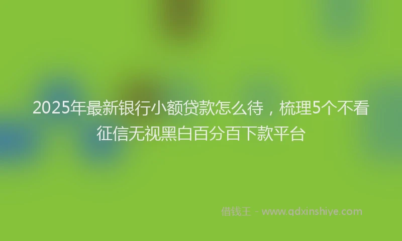 2025年最新银行小额贷款怎么待，梳理5个不看征信无视黑白百分百下款平台