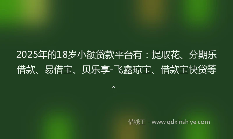2025年的18岁小额贷款平台有：提取花、分期乐借款、易借宝、贝乐享-飞鑫琼宝、借款宝快贷等。