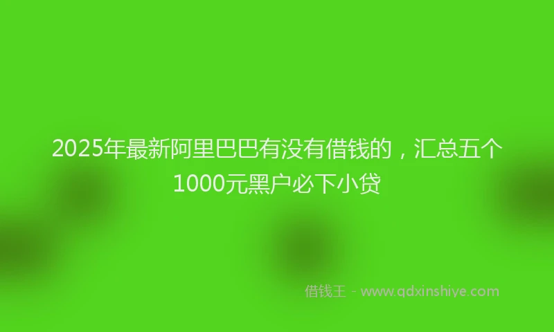 2025年最新阿里巴巴有没有借钱的，汇总五个1000元黑户必下小贷