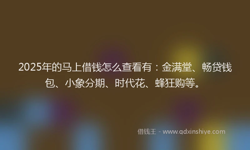 2025年的马上借钱怎么查看有：金满堂、畅贷钱包、小象分期、时代花、蜂狂购等。