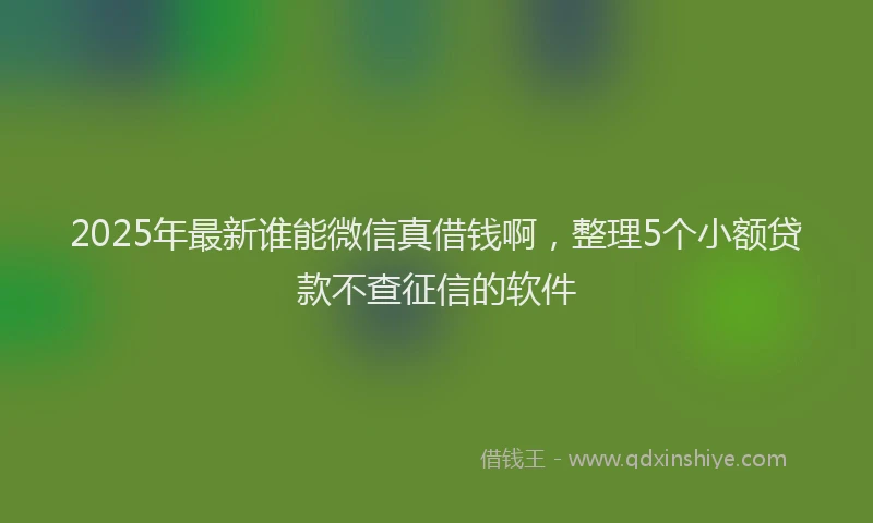 2025年最新谁能微信真借钱啊，整理5个小额贷款不查征信的软件