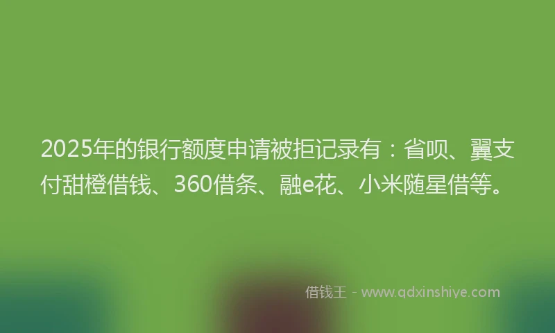 2025年的银行额度申请被拒记录有：省呗、翼支付甜橙借钱、360借条、融e花、小米随星借等。