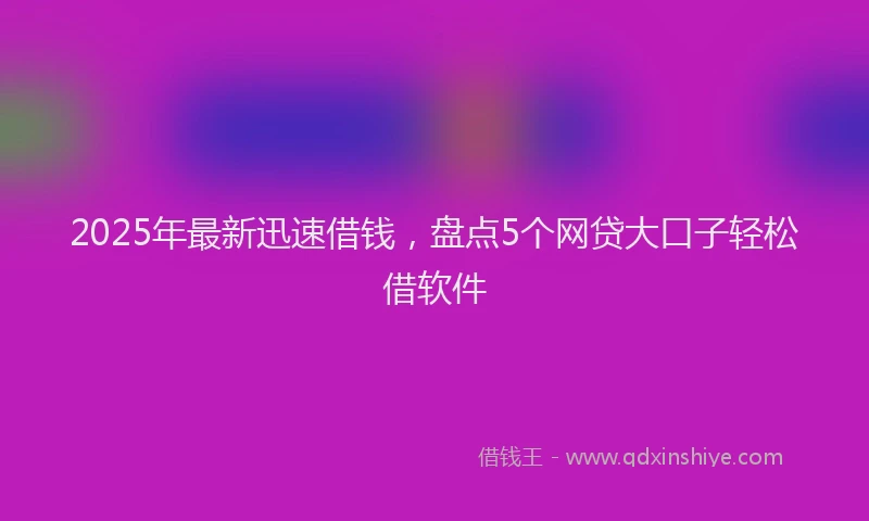 2025年最新迅速借钱，盘点5个网贷大口子轻松借软件