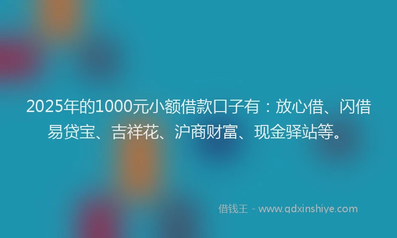 2025年的1000元小额借款口子有：放心借、闪借易贷宝、吉祥花、沪商财富、现金驿站等。