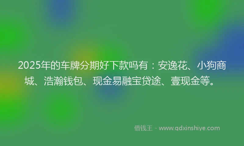 2025年的车牌分期好下款吗有：安逸花、小狗商城、浩瀚钱包、现金易融宝贷途、壹现金等。