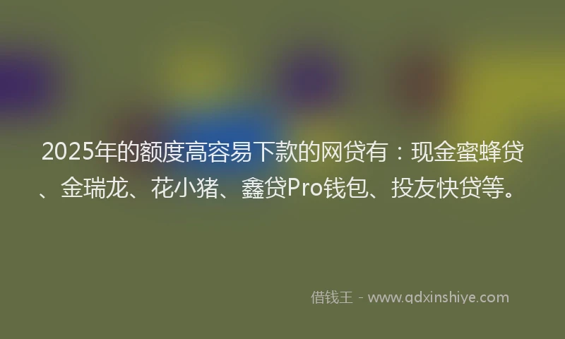 2025年的额度高容易下款的网贷有：现金蜜蜂贷、金瑞龙、花小猪、鑫贷Pro钱包、投友快贷等。