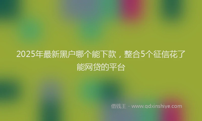 2025年最新黑户哪个能下款，整合5个征信花了能网贷的平台