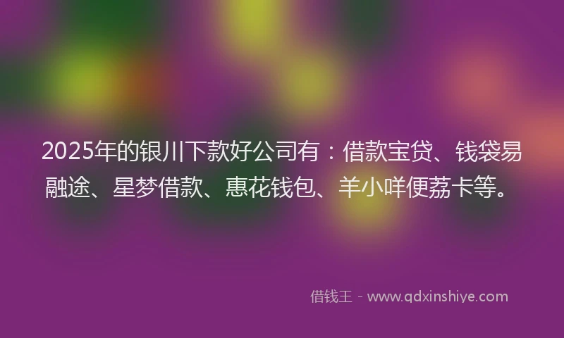 2025年的银川下款好公司有：借款宝贷、钱袋易融途、星梦借款、惠花钱包、羊小咩便荔卡等。