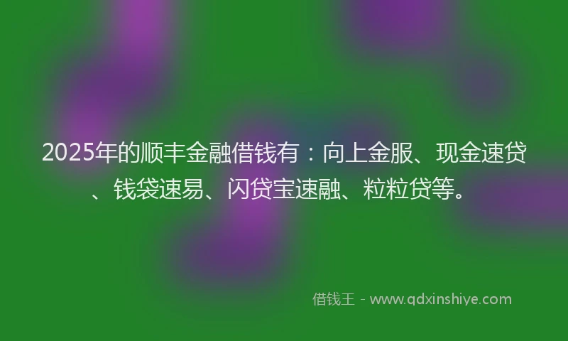 2025年的顺丰金融借钱有：向上金服、现金速贷、钱袋速易、闪贷宝速融、粒粒贷等。