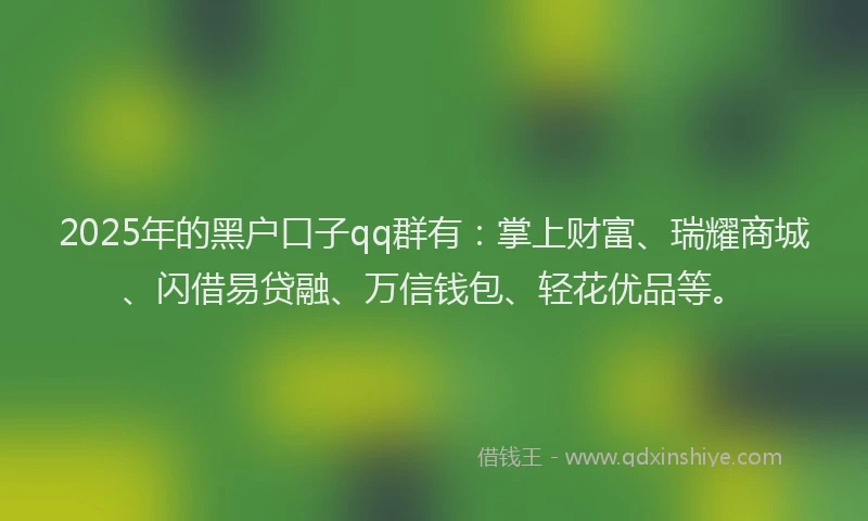 2025年的黑户口子qq群有：掌上财富、瑞耀商城、闪借易贷融、万信钱包、轻花优品等。