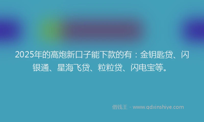 2025年的高炮新口子能下款的有：金钥匙贷、闪银通、星海飞贷、粒粒贷、闪电宝等。
