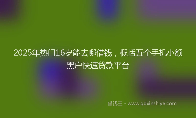 2025年热门16岁能去哪借钱，概括五个手机小额黑户快速贷款平台