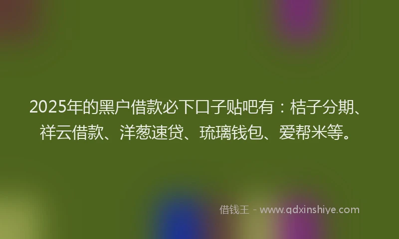 2025年的黑户借款必下口子贴吧有：桔子分期、祥云借款、洋葱速贷、琉璃钱包、爱帮米等。