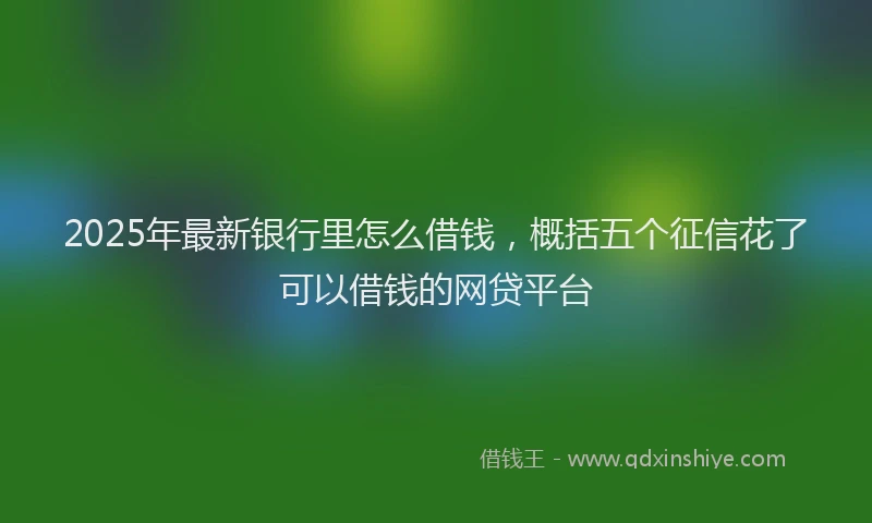 2025年最新银行里怎么借钱，概括五个征信花了可以借钱的网贷平台