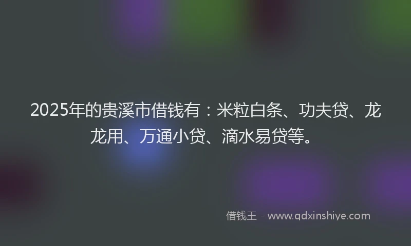 2025年的贵溪市借钱有：米粒白条、功夫贷、龙龙用、万通小贷、滴水易贷等。