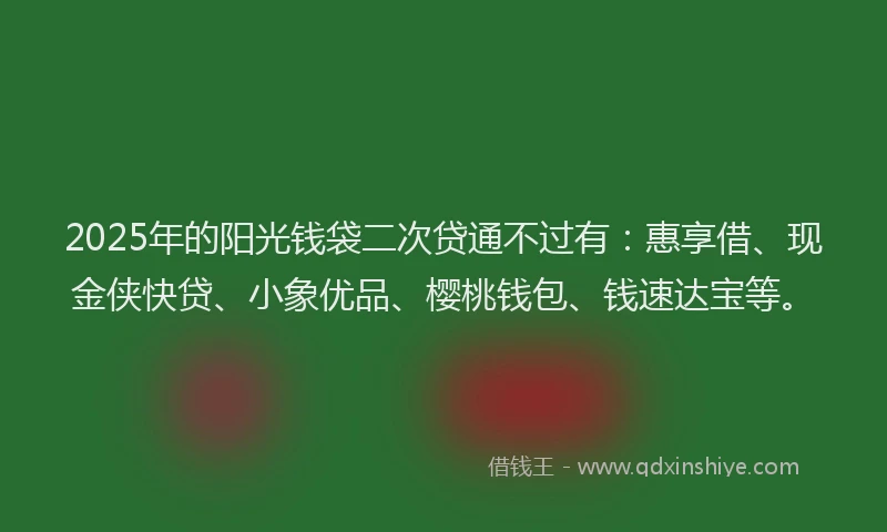 2025年的阳光钱袋二次贷通不过有：惠享借、现金侠快贷、小象优品、樱桃钱包、钱速达宝等。