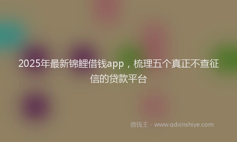 2025年最新锦鲤借钱app，梳理五个真正不查征信的贷款平台