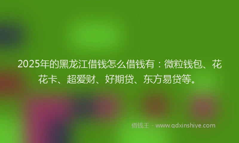 2025年的黑龙江借钱怎么借钱有：微粒钱包、花花卡、超爱财、好期贷、东方易贷等。