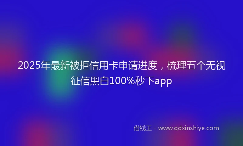2025年最新被拒信用卡申请进度，梳理五个无视征信黑白100%秒下app