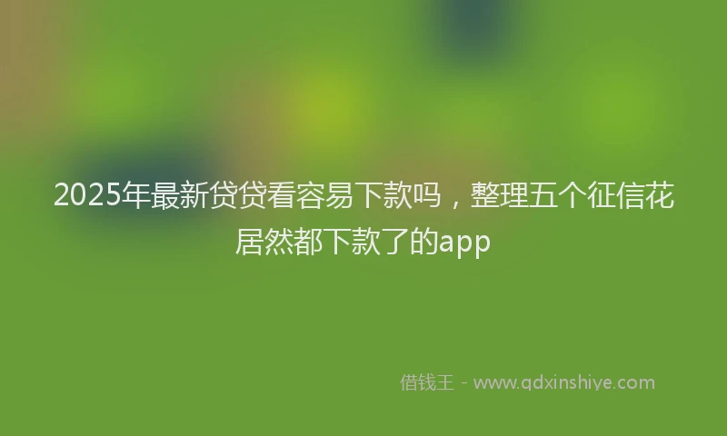 2025年最新贷贷看容易下款吗，整理五个征信花居然都下款了的app