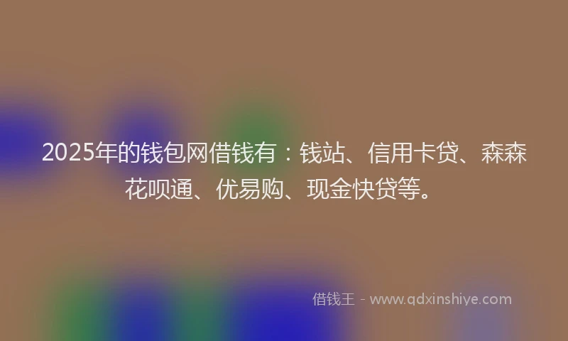 2025年的钱包网借钱有：钱站、信用卡贷、森森花呗通、优易购、现金快贷等。