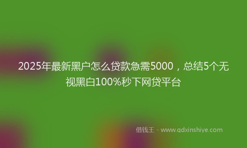 2025年最新黑户怎么贷款急需5000，总结5个无视黑白100%秒下网贷平台