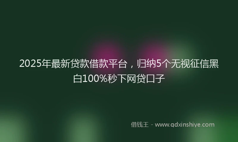 2025年最新贷款借款平台，归纳5个无视征信黑白100%秒下网贷口子