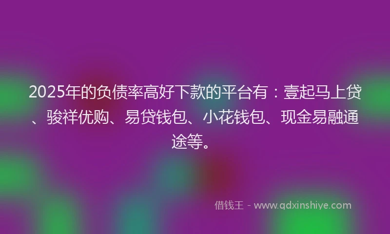 2025年的负债率高好下款的平台有：壹起马上贷、骏祥优购、易贷钱包、小花钱包、现金易融通途等。