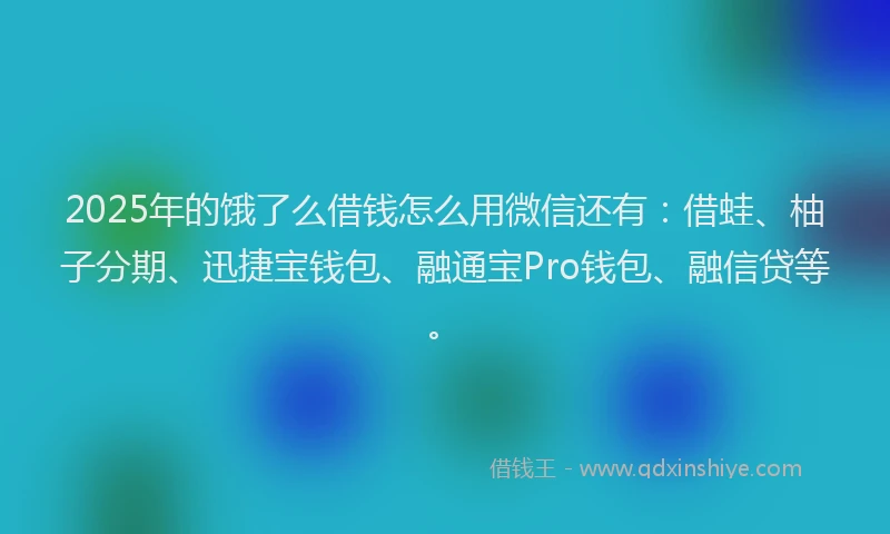 2025年的饿了么借钱怎么用微信还有：借蛙、柚子分期、迅捷宝钱包、融通宝Pro钱包、融信贷等。